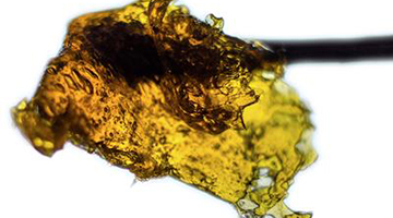 How to Consume Marijuana Concentrates