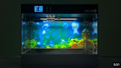 Smart Mushroom Growing Box Function Demonstration